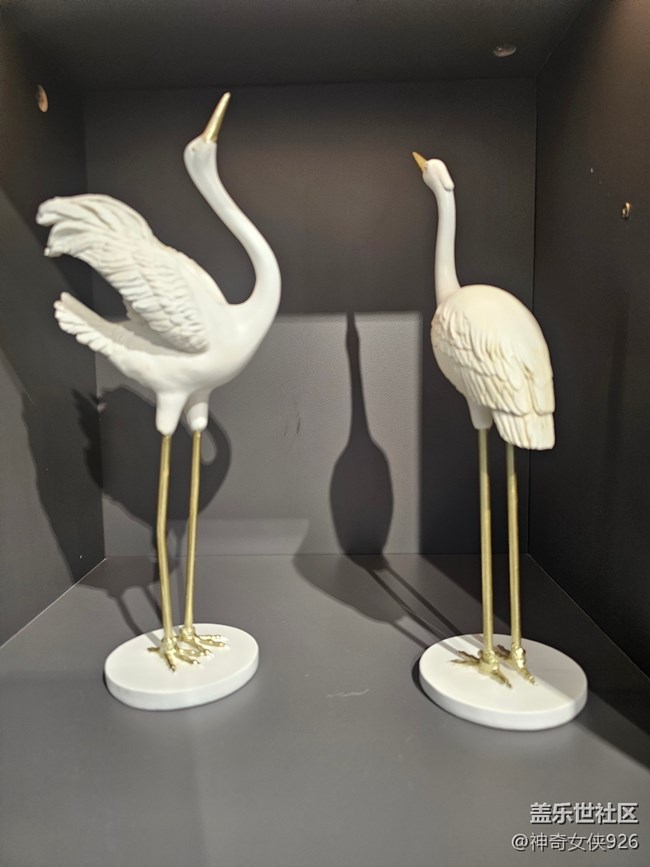 【 長焦與微距】動物