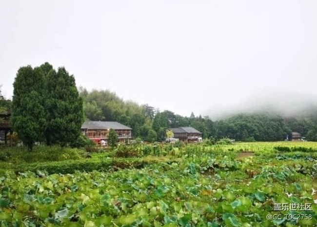 【夏日清涼】山清水秀