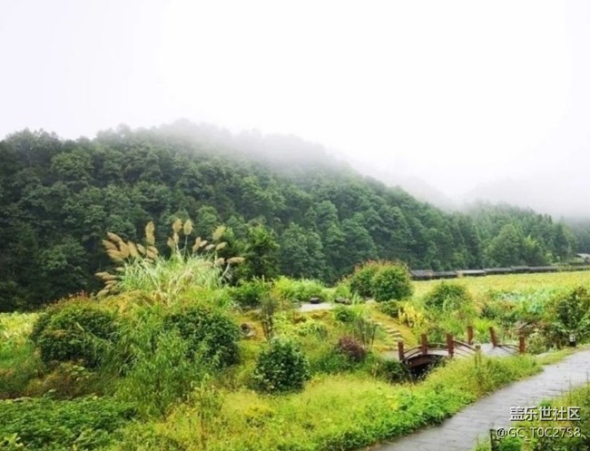 【夏日清涼】山清水秀