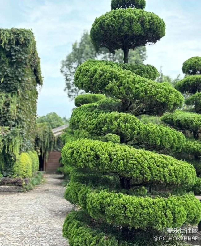 【夏日清涼】美景