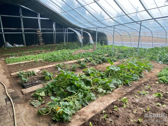 【 長(zhǎng)焦與微距】+假期采摘