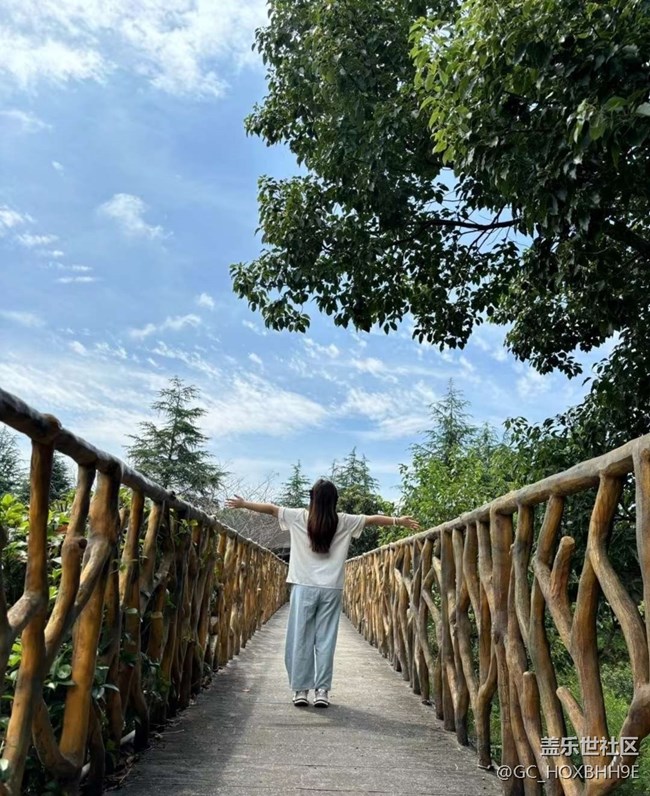 【夏日清涼】美景