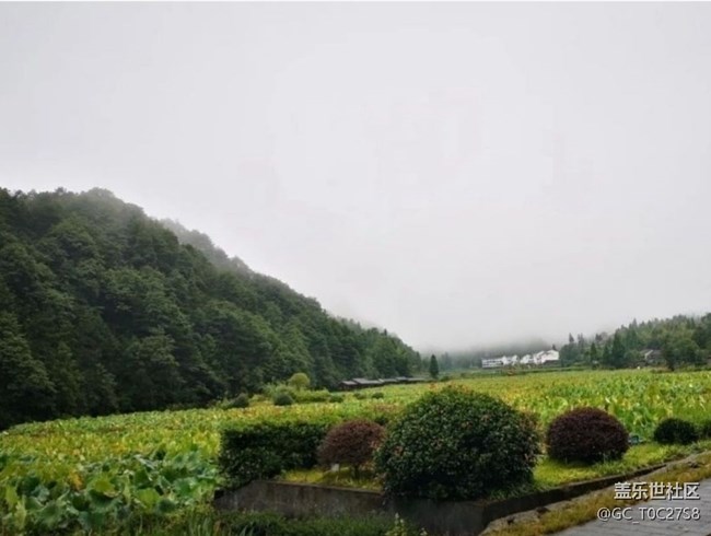 【夏日清涼】山清水秀