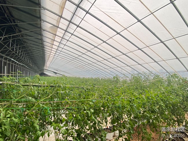 【 長(zhǎng)焦與微距】+假期采摘