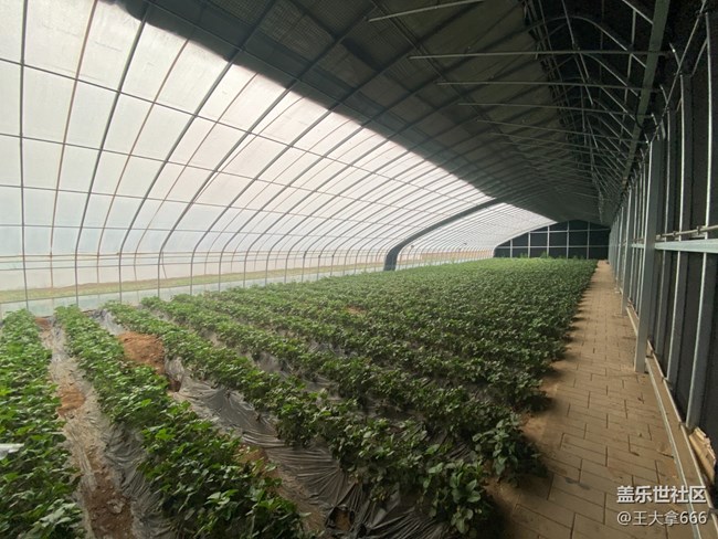 【 長(zhǎng)焦與微距】+假期采摘