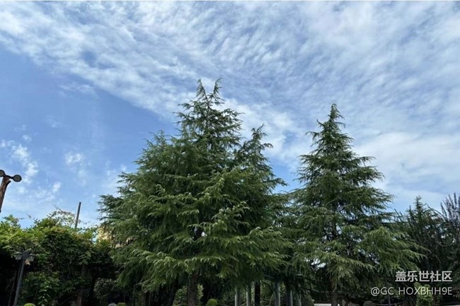 【夏日清涼】美景