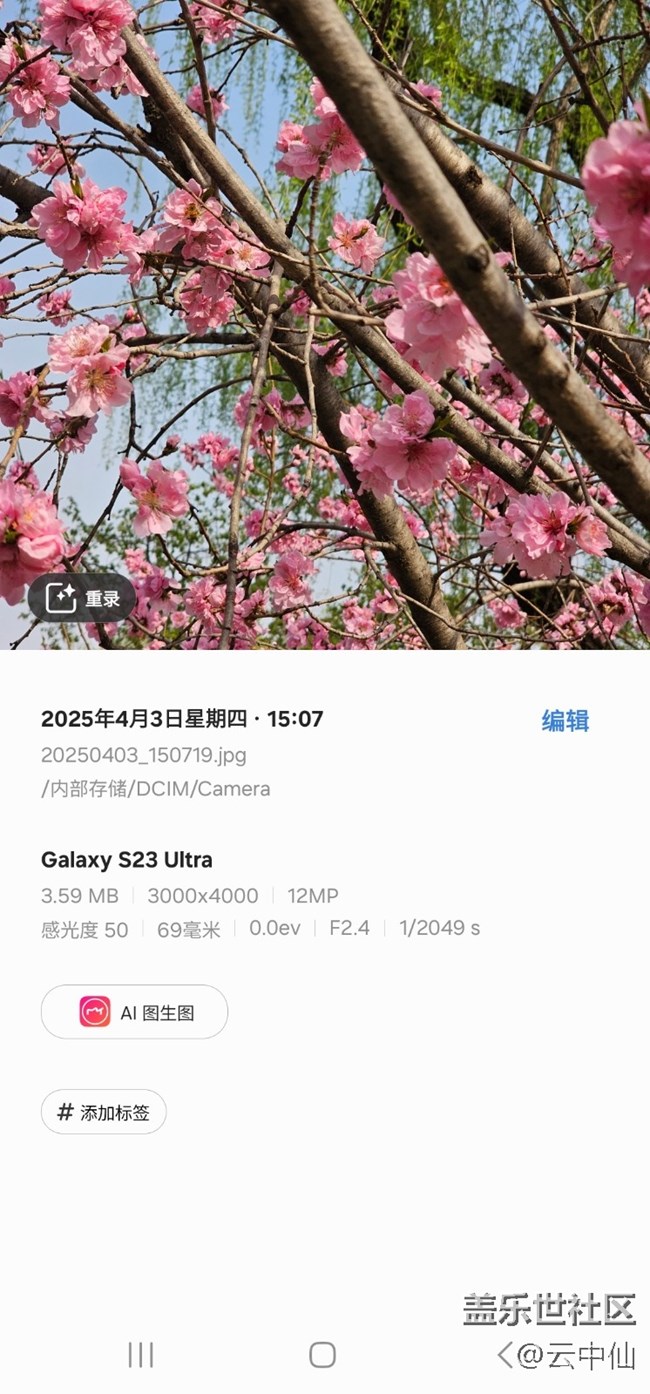 【四月照片核實】【拈花拾趣】柳前花