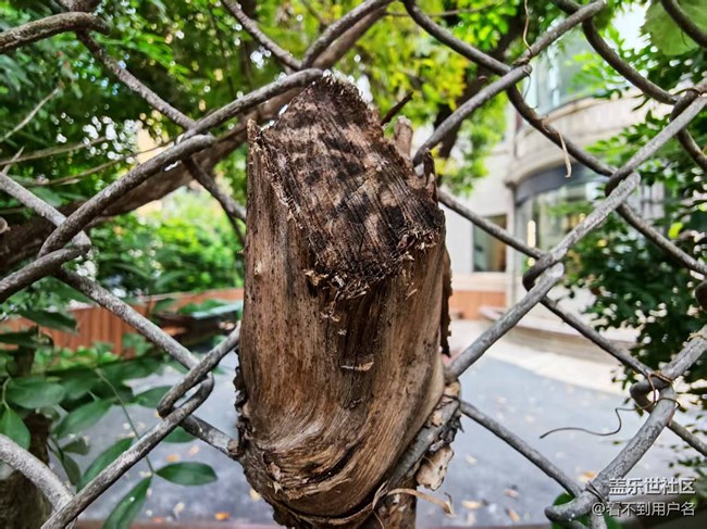 4月26日線下春游攝影活動(dòng)