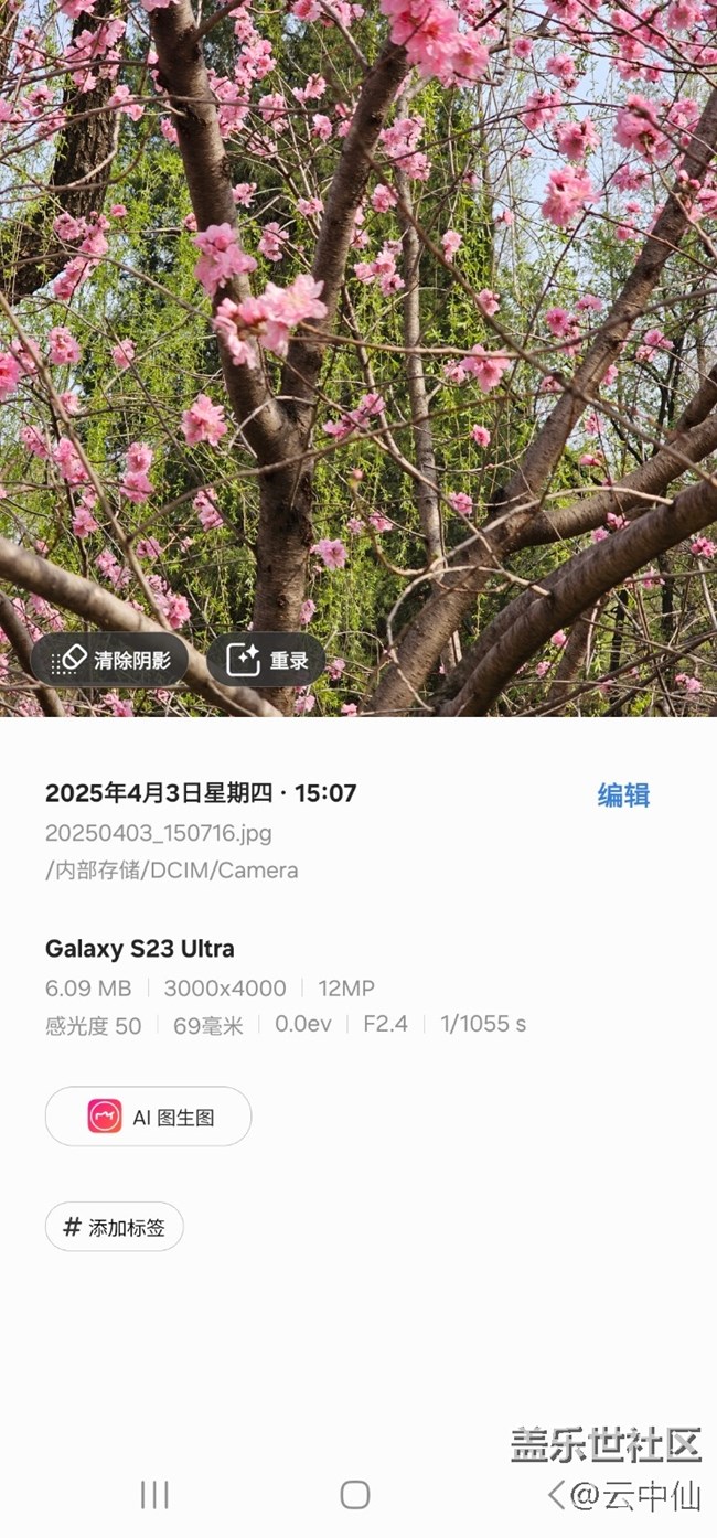 【四月照片核實】【拈花拾趣】柳前花