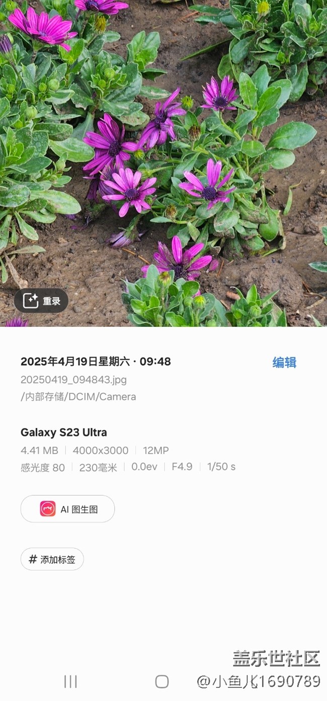 【四月照片核實】【拈花拾趣】花間