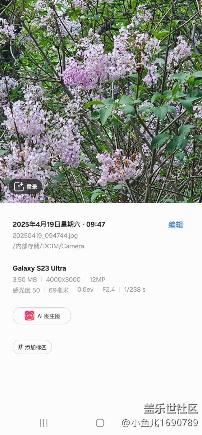 【四月照片核實】【拈花拾趣】花間