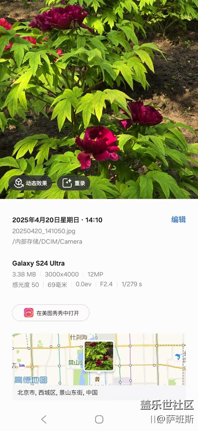 【四月照片核實(shí)】【拈花拾趣】稀有品質(zhì)牡丹花賞