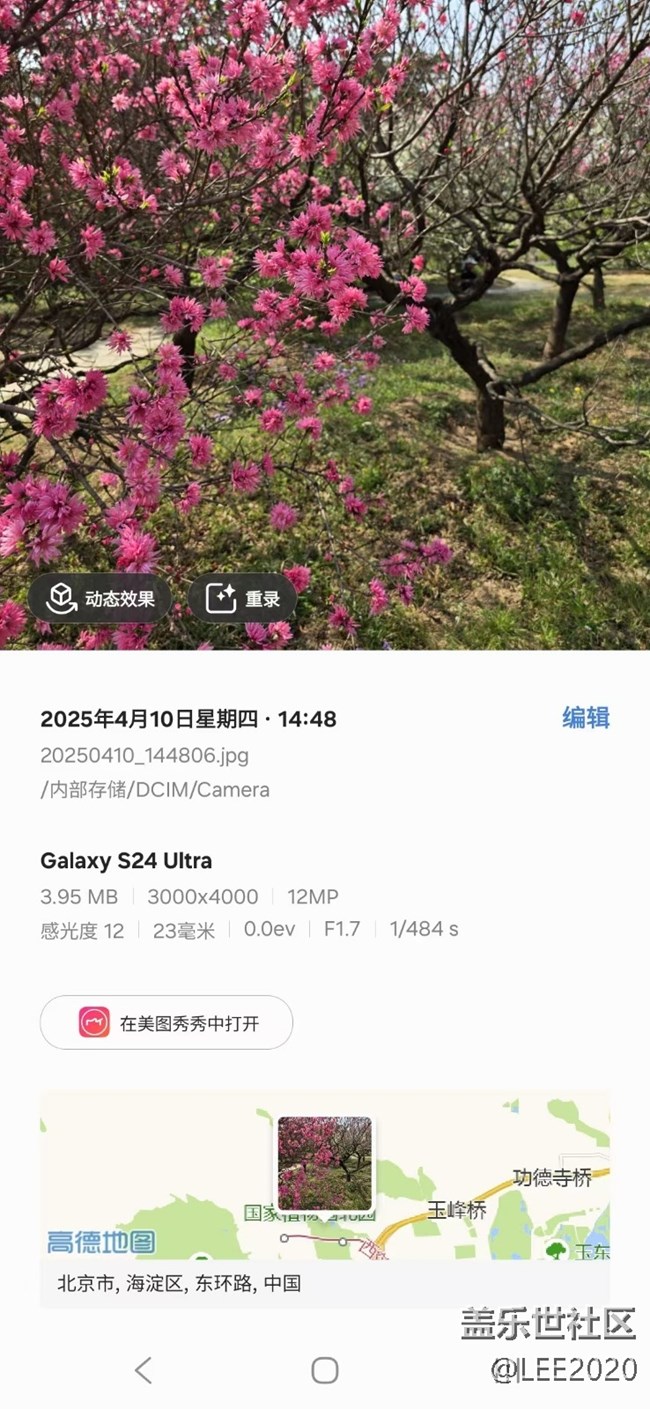 【四月照片核實】【拈花拾趣】轉瞬即逝的春天