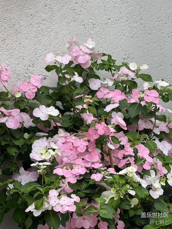 4月26日春游線下攝影活動(dòng)