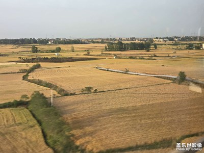 【漫旅拾光】+金色麥田