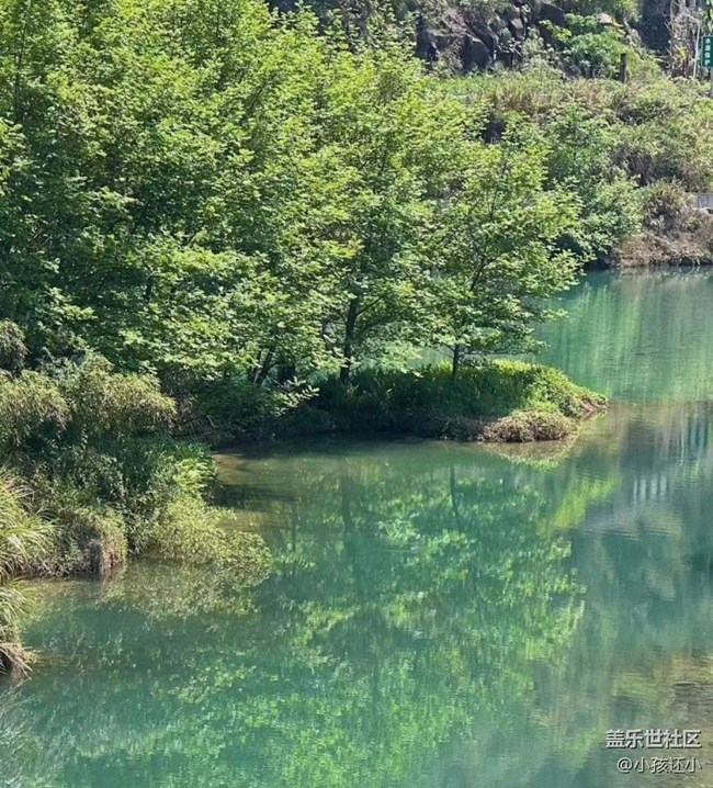 【淺嘗初夏】烤全羊