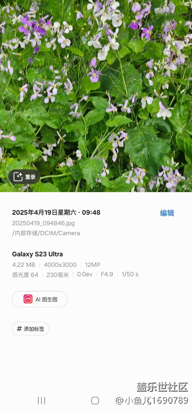 【四月照片核實】【拈花拾趣】花間