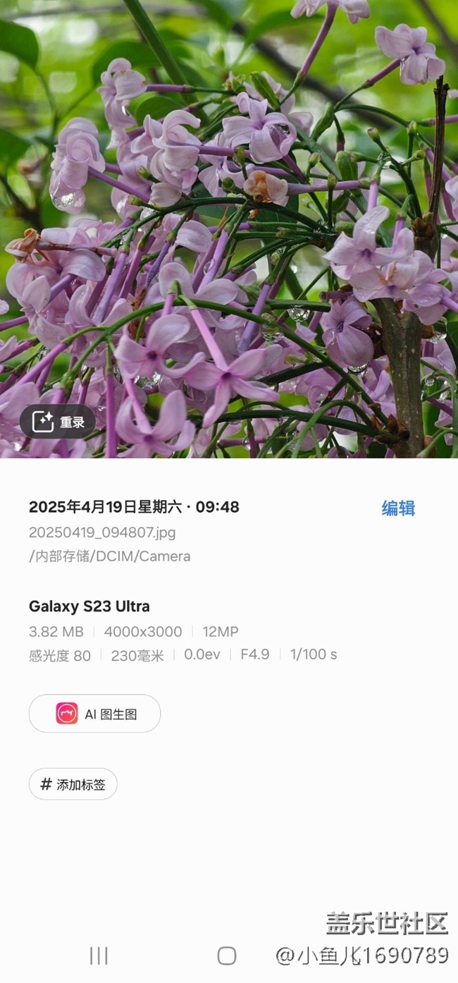 【四月照片核實】【拈花拾趣】花間