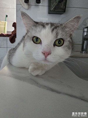 【漫旅拾光】+與美好相遇