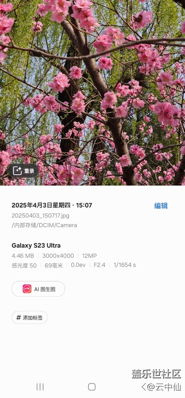 【四月照片核實】【拈花拾趣】柳前花