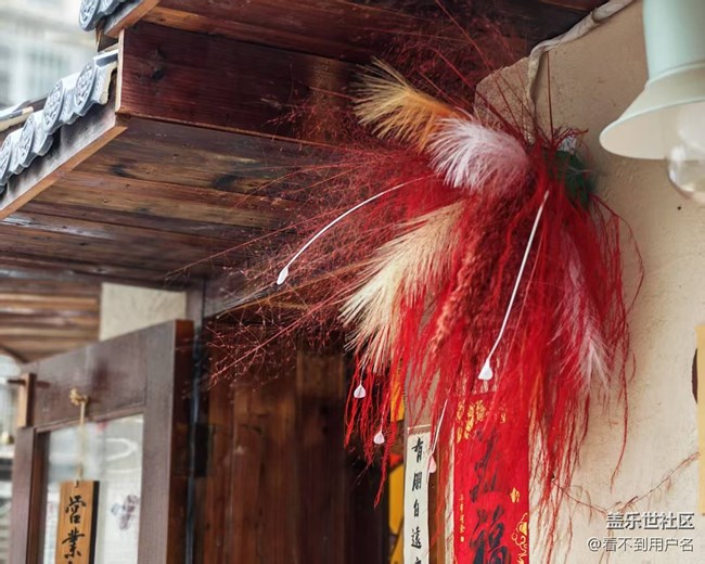 4月26日線下春游攝影活動(dòng)