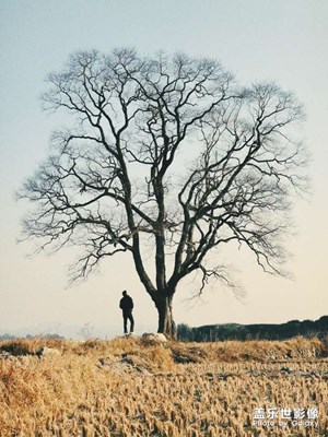 鄉(xiāng)土難忘