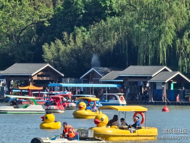 【 長焦與微距】碧波蕩舟