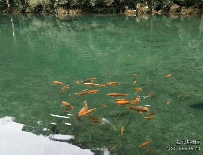 【小眾秘境】九山湖