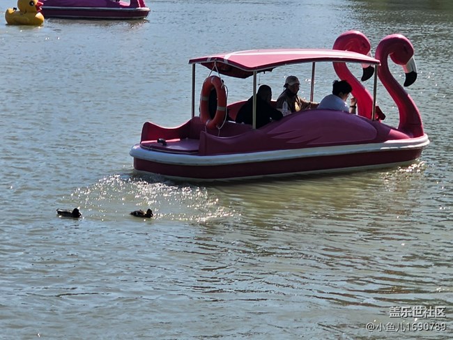 【 長焦與微距】碧波蕩舟