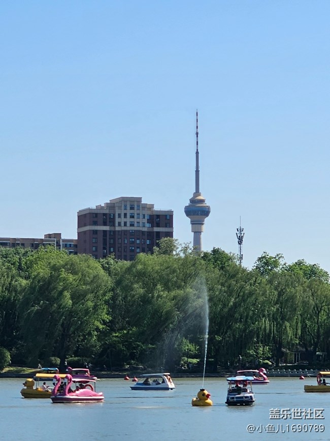 【 長焦與微距】碧波蕩舟