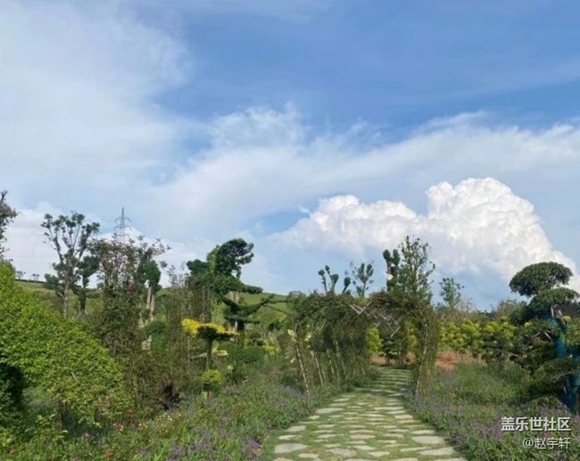 【夏日清涼】花海