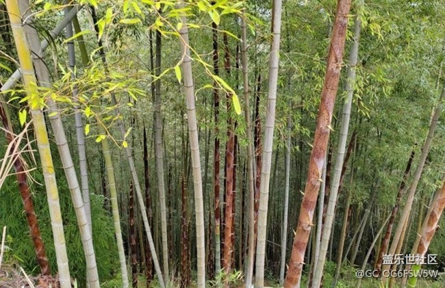 【夏日清涼】家鄉(xiāng)美