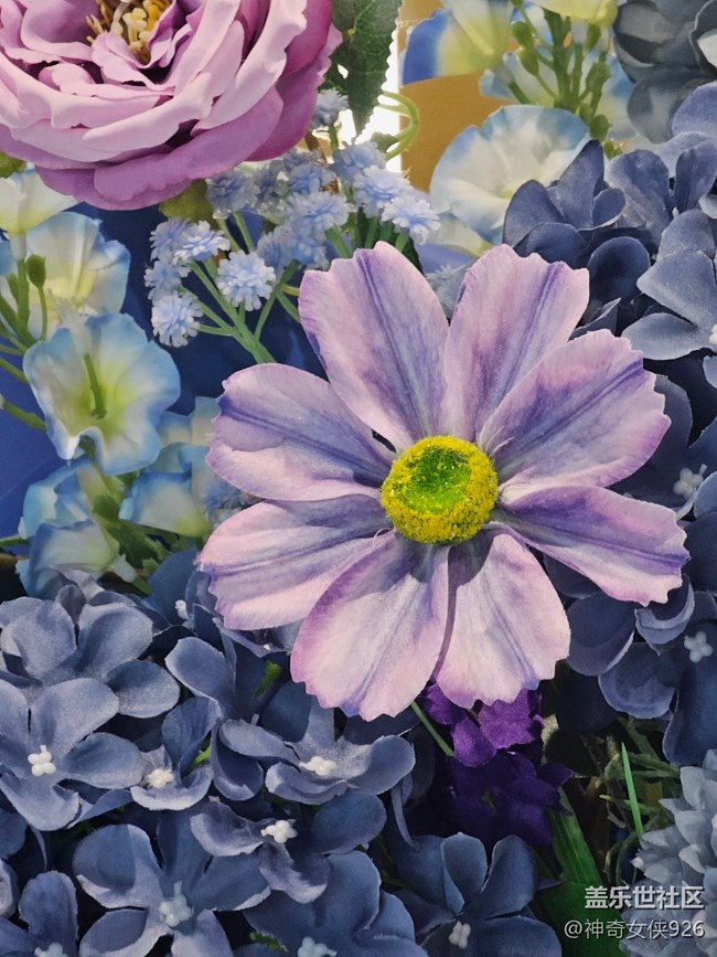 【 長焦與微距】禮花