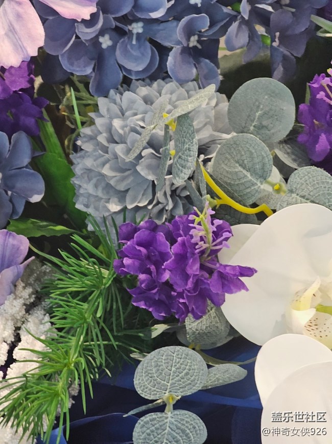 【 長焦與微距】禮花