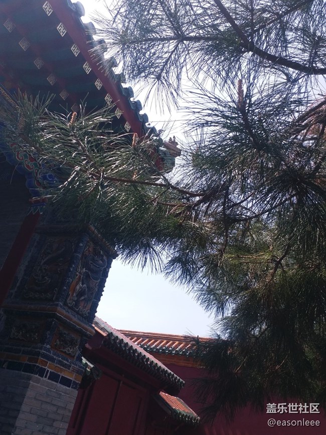 【春風(fēng)得意時(shí)】沈陽(yáng)的春天來來去去