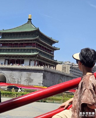 【漫旅拾光】綠樹成蔭