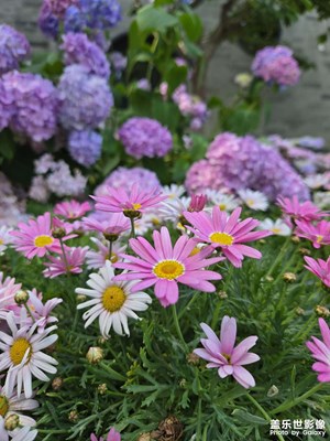 【漫游拾光】+法海寺附近