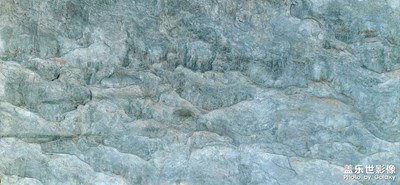 自然之美，包羅萬象