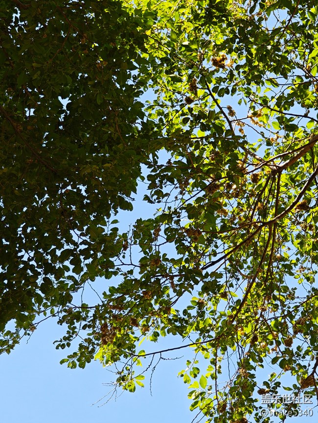 中山公園攝影，回顧