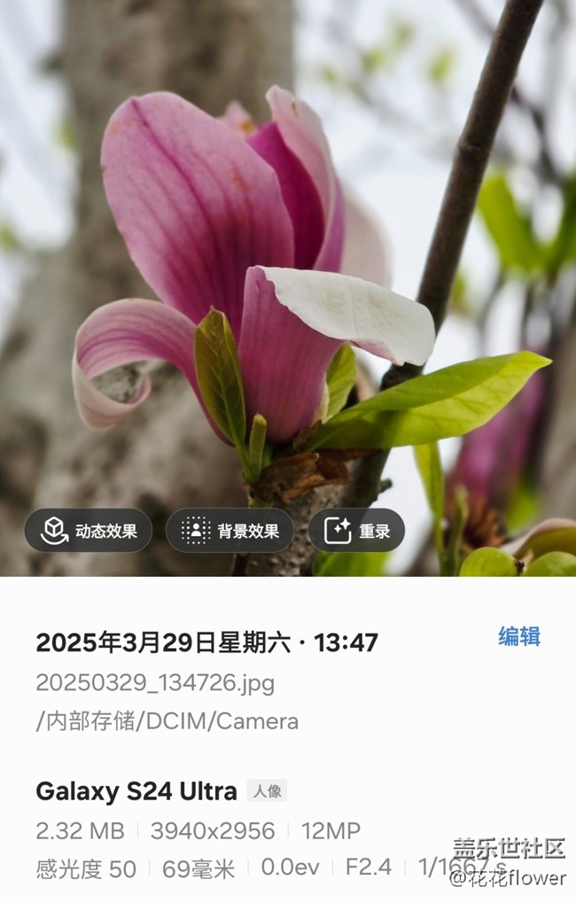 【4月照片核實(shí)】