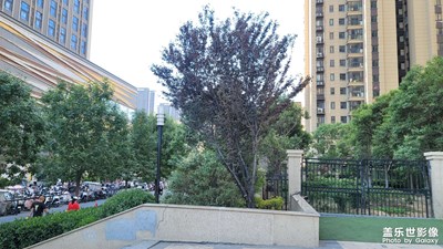 【漫旅拾光】周末時(shí)光