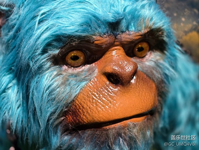 【重啟九尾狐線下攝影活動】+變焦的使用