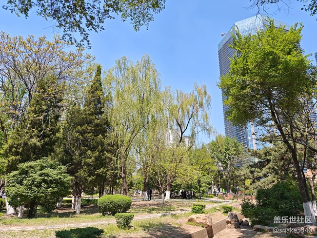 中山公園攝影，回顧