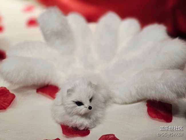 【重啟九尾狐線下攝影活動(dòng)】+毛茸茸的小狐貍