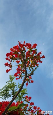 “凝時(shí)拍攝”沒(méi)有了？