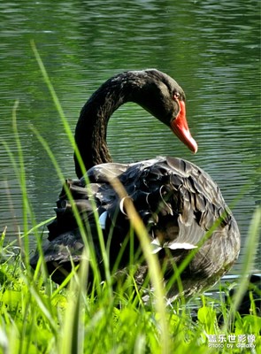 【漫旅拾光】公園隨手拍