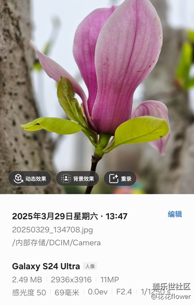 【4月照片核實(shí)】