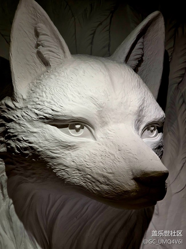 【重啟九尾狐線下攝影活動】+變焦的使用