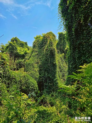 吳山風(fēng)景區(qū)