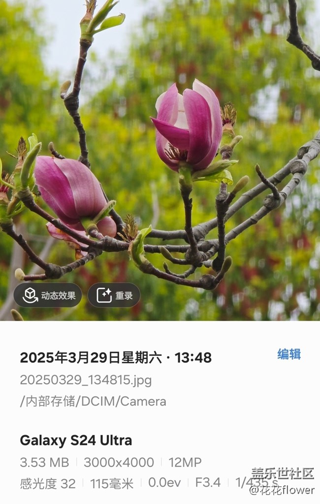 【4月照片核實(shí)】